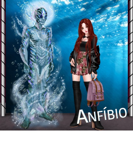 Clique aqui para ver a foto de Anfíbio no tamanho grande!