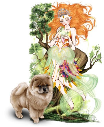 //photo.princesapop.com/trophee/miss-1334291.jpg