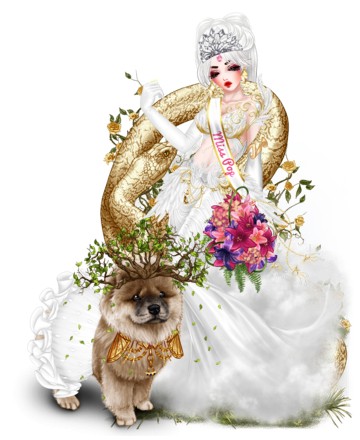 //photo.princesapop.com/trophee/miss-1389304.jpg